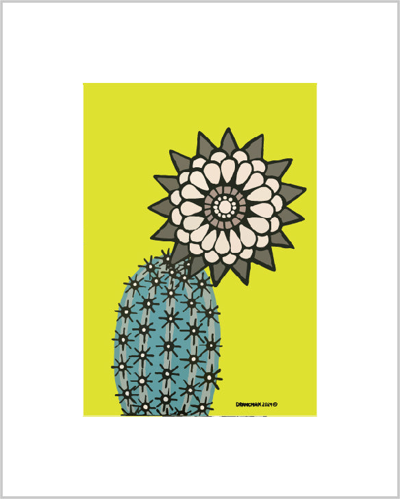 Cactus flower #70 ~ Ready to frame